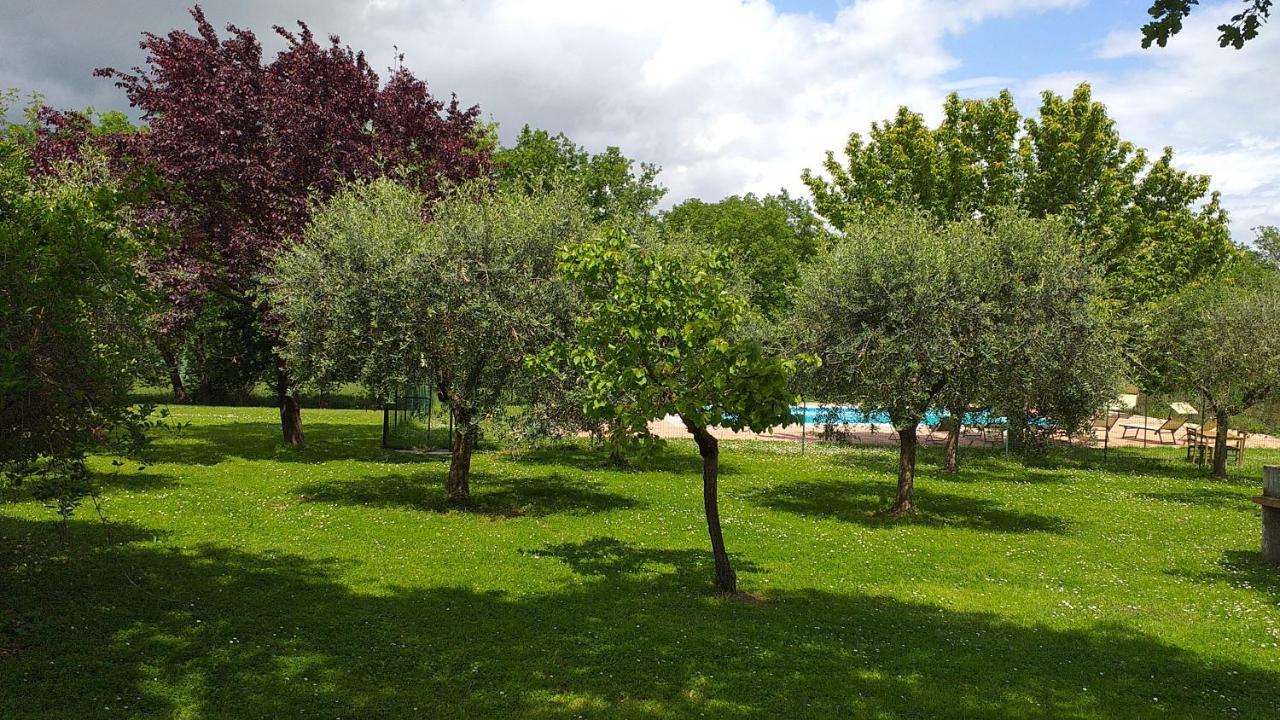 La Vecchia Fornace ξενώνας Κορτόνα Εξωτερικό φωτογραφία